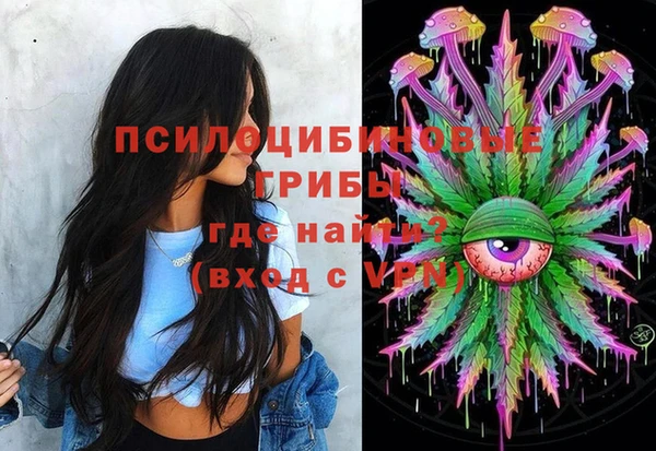 бошки Гусев