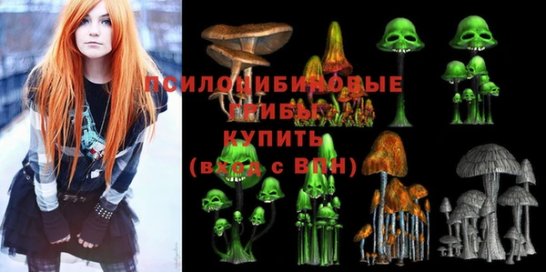соль ск Горняк